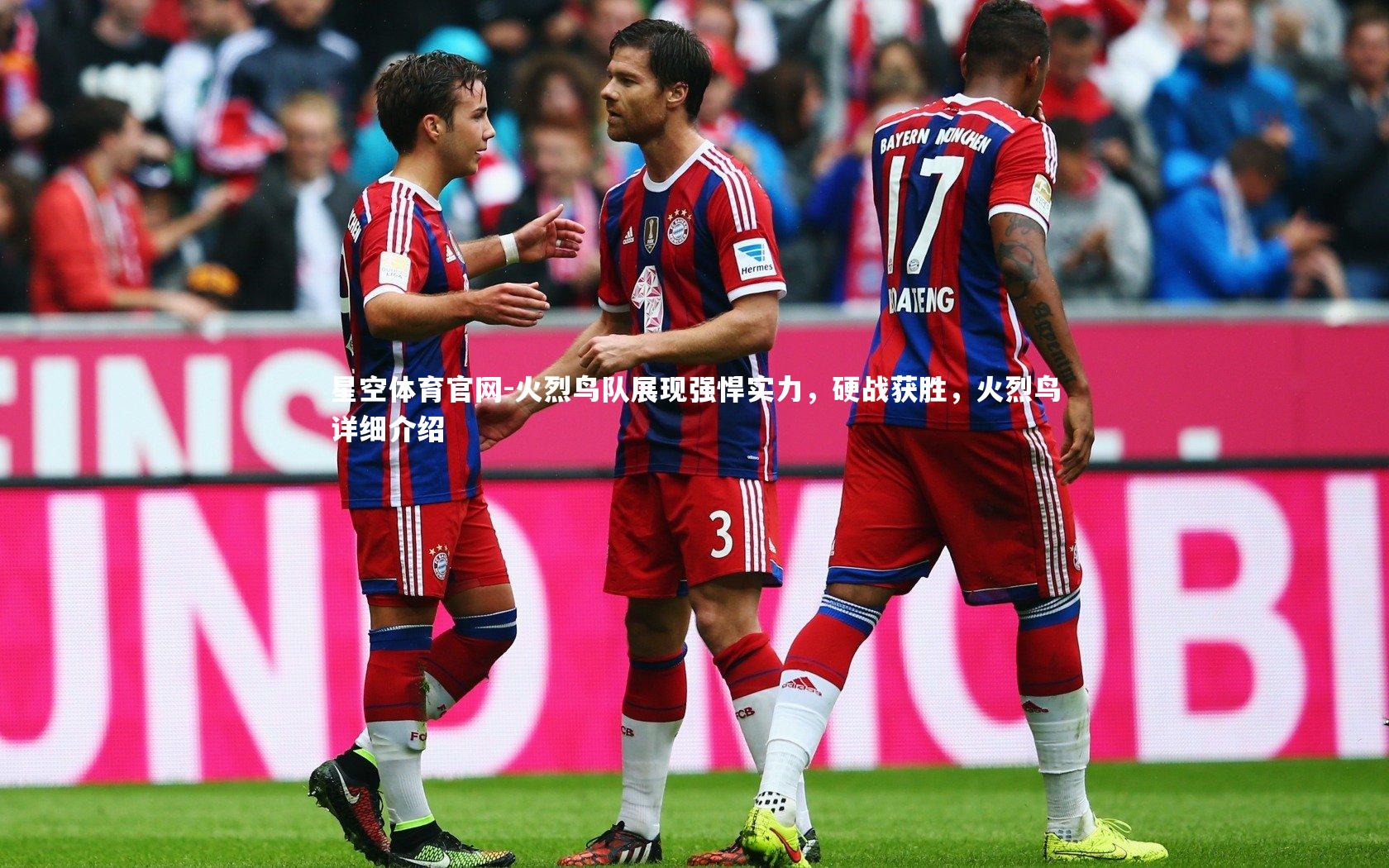 火烈鸟队展现强悍实力，硬战获胜，火烈鸟详细介绍