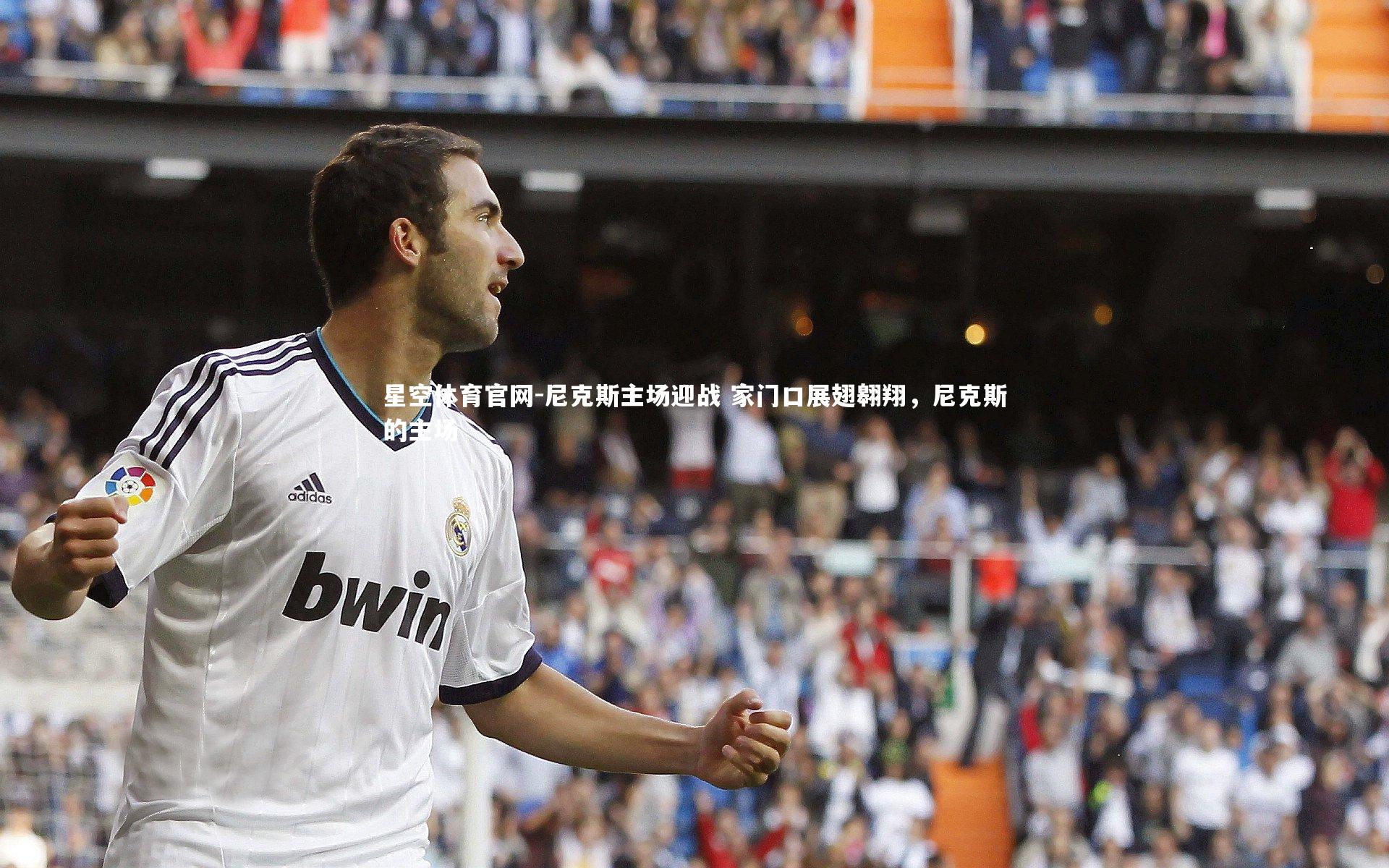 尼克斯主场迎战 家门口展翅翱翔，尼克斯的主场